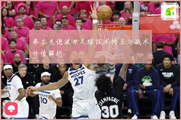 弗兰克德波尔足球技术特点与战术价值解析