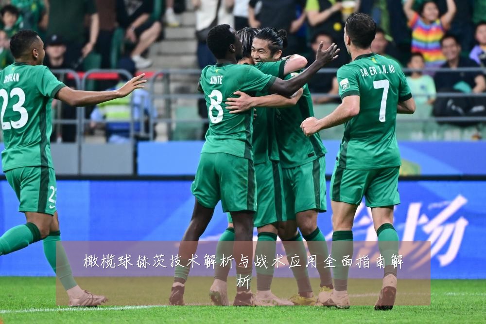 橄榄球赫茨技术解析与战术应用全面指南解析